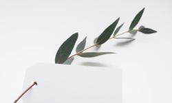 Featured image of post 汉语文学